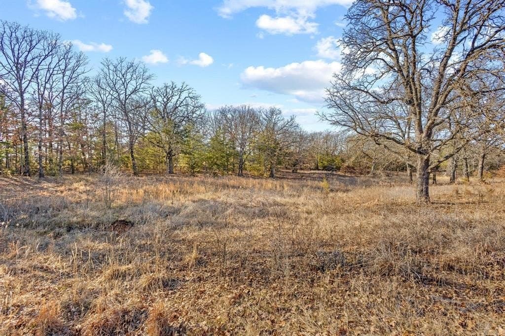16.36 acres in Fannin County - photo 26