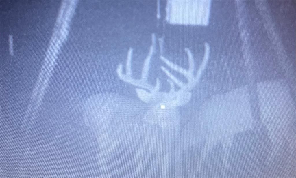 144.3 acres in Cooke County - photo 31
