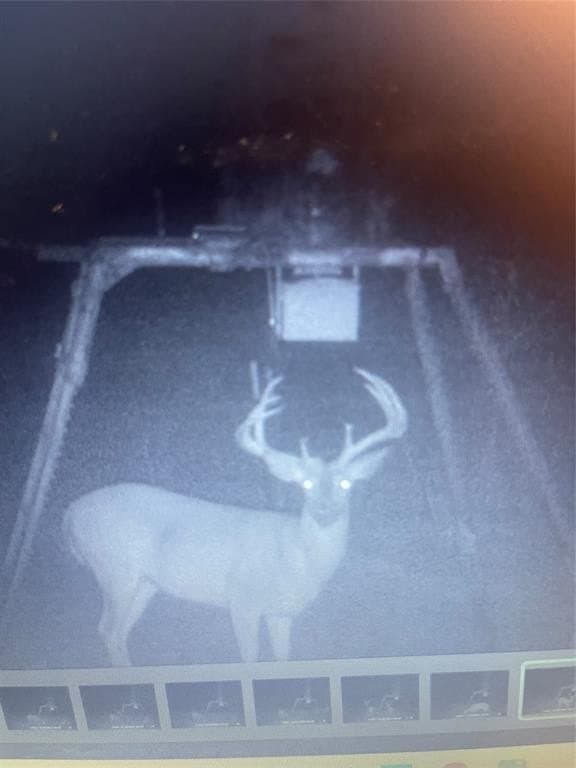 144.3 acres in Cooke County - photo 33