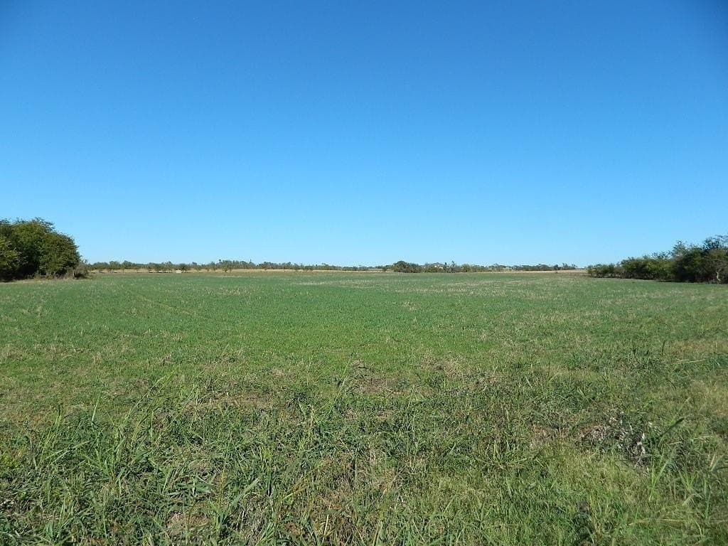 144.3 acres in Cooke County - photo 17