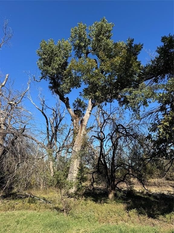 144.3 acres in Cooke County - photo 26