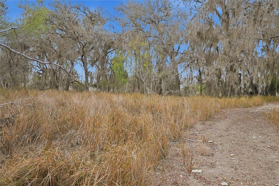 0.64 acres in Live Oak County - photo 3