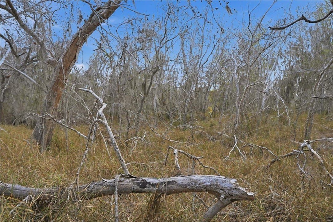 0.64 acres in Live Oak County - photo 2