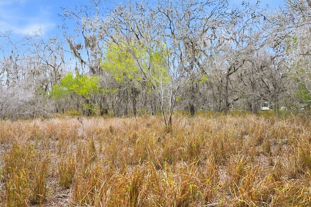 0.64 acres in Live Oak County - photo 4