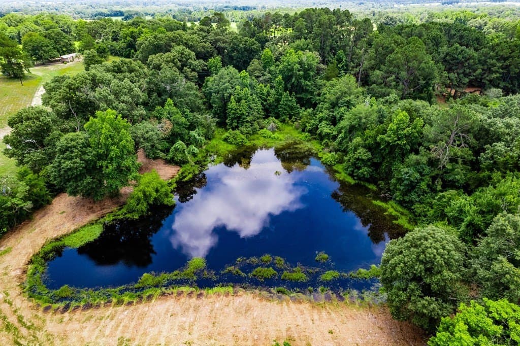 21.67 acres in Henderson County - photo 21