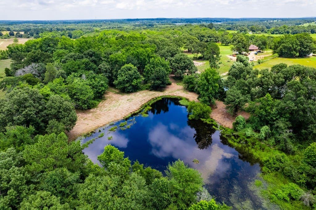 21.67 acres in Henderson County - photo 22