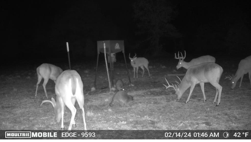 21.67 acres in Henderson County - photo 24