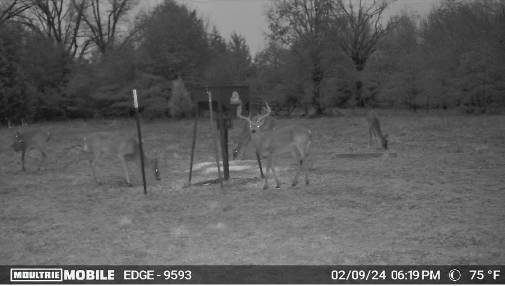 21.67 acres in Henderson County - photo 25