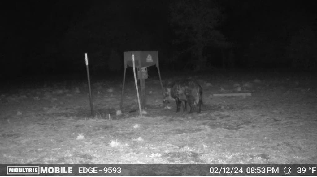 21.67 acres in Henderson County - photo 23