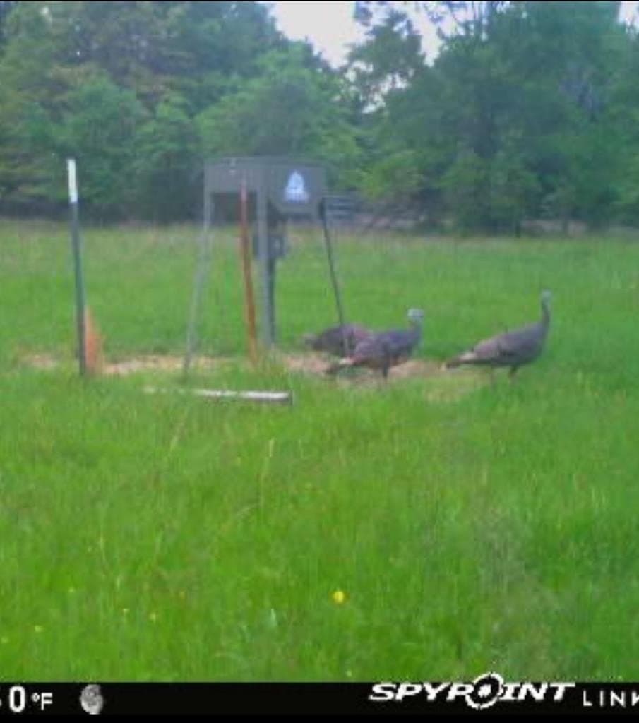 21.67 acres in Henderson County - photo 27