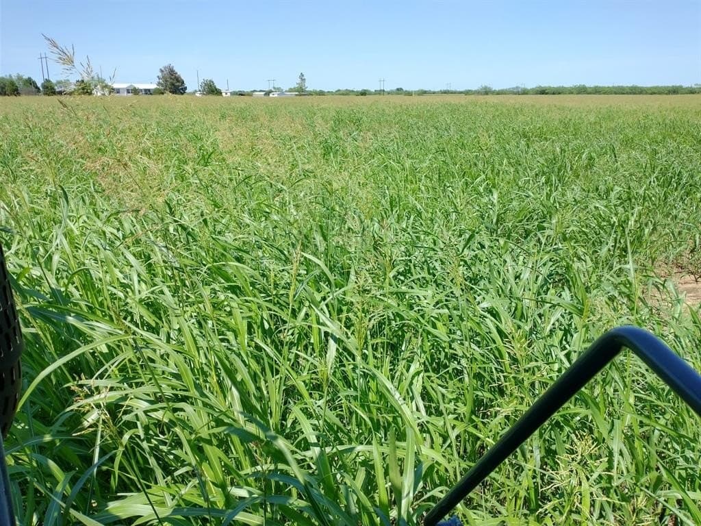19.42 acres in Callahan County - photo 5