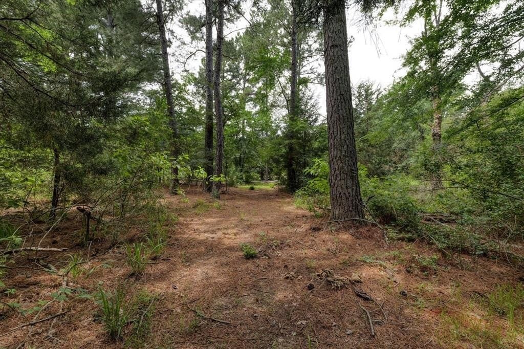 10.04 acres in Freestone County - photo 6