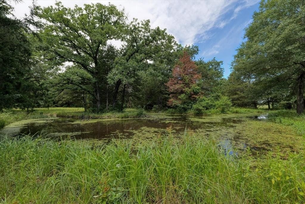 10.04 acres in Freestone County - photo 5