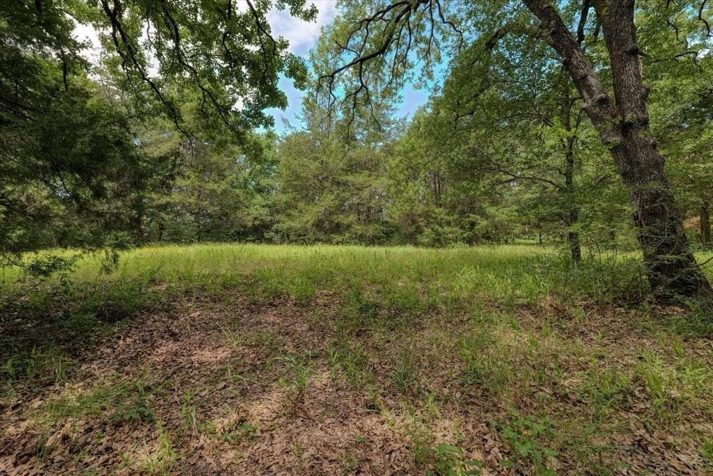 10.04 acres in Freestone County - photo 7