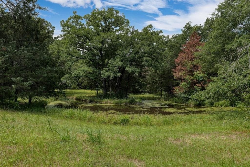 10.04 acres in Freestone County - photo 4