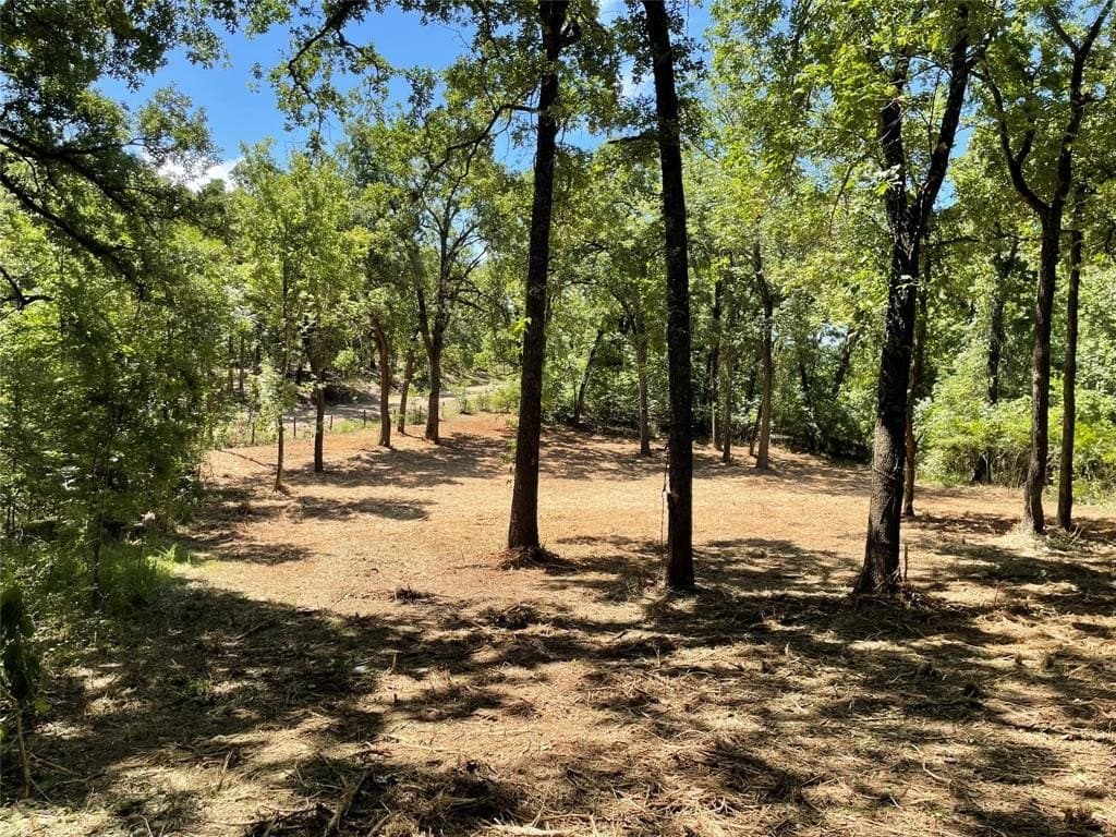0.38 acres in Henderson County - photo 5