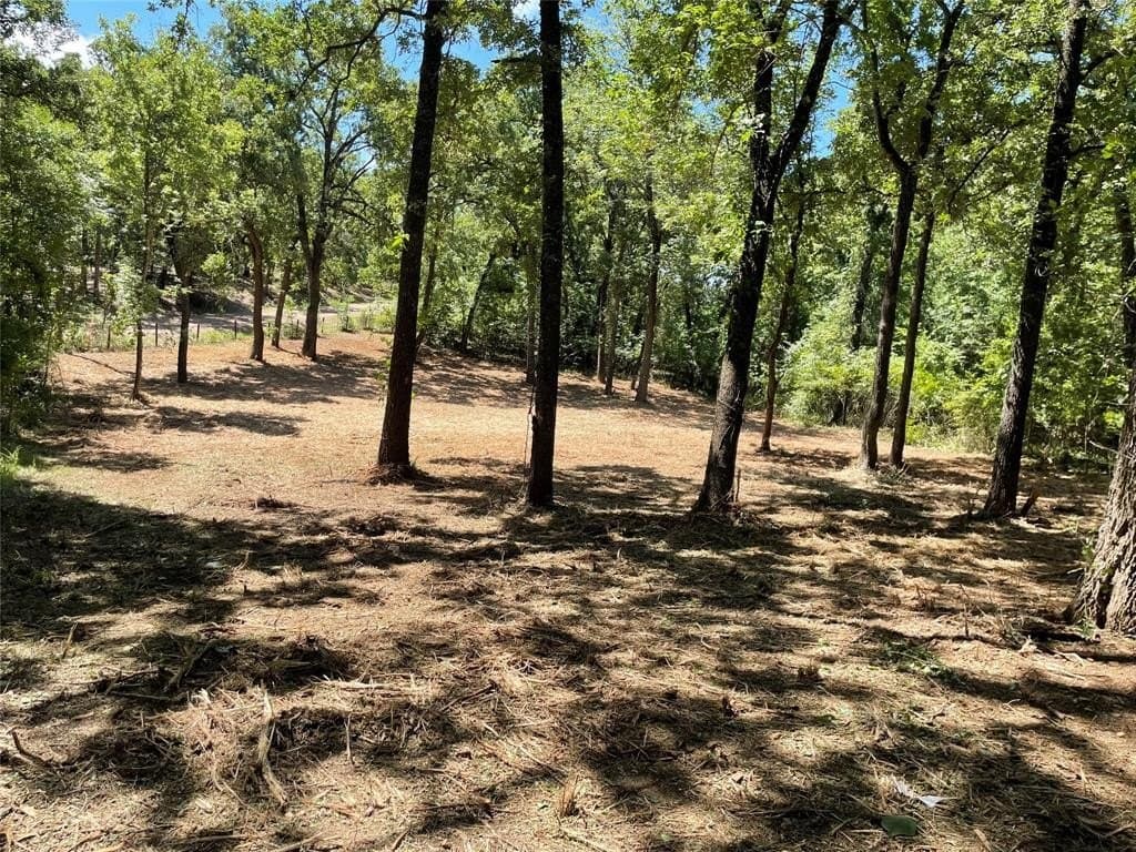 0.38 acres in Henderson County - photo 4