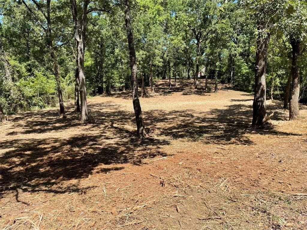 0.38 acres in Henderson County - photo 7