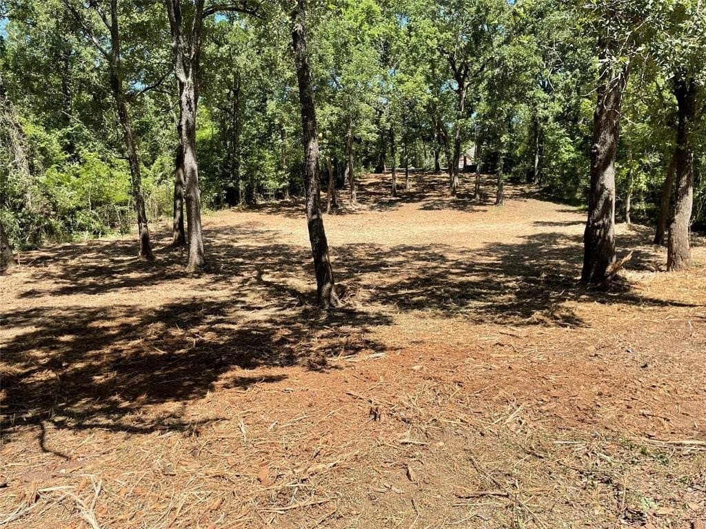 0.38 acres in Henderson County - photo 6