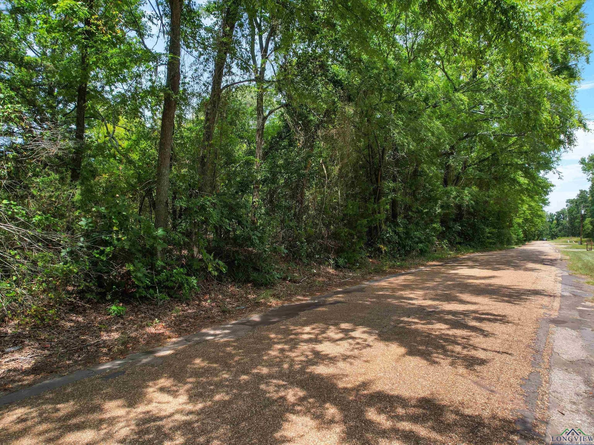 8 acres in Texas County - photo 5