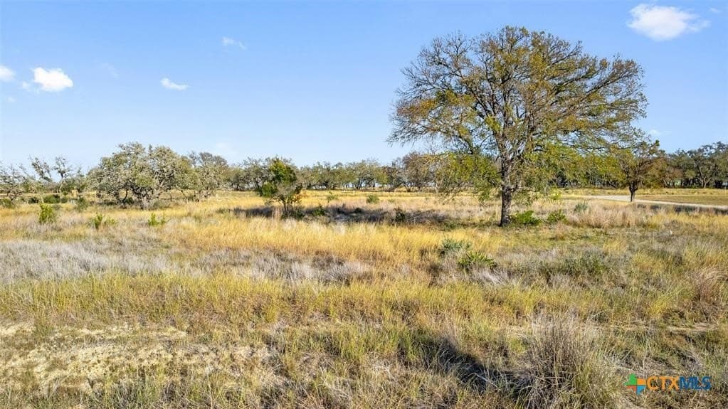 3.01 acres in Gillespie County - photo 7