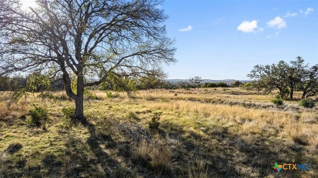 3.01 acres in Gillespie County - photo 6