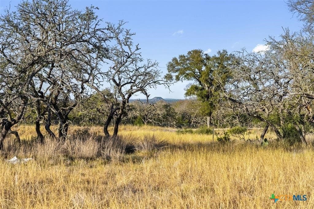 3.01 acres in Gillespie County - photo 4