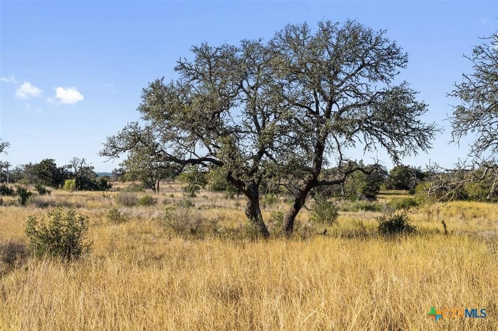 3.01 acres in Gillespie County - photo 2