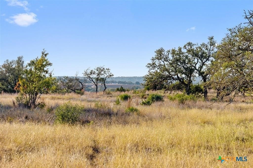 3.01 acres in Gillespie County - photo 8