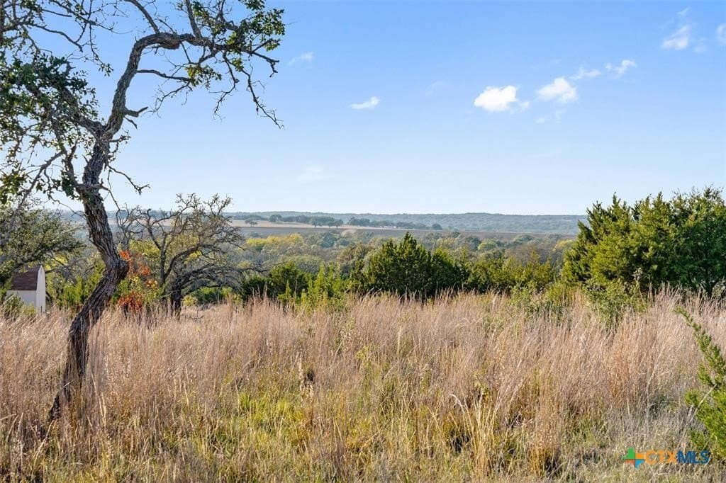 3.01 acres in Gillespie County - photo 5