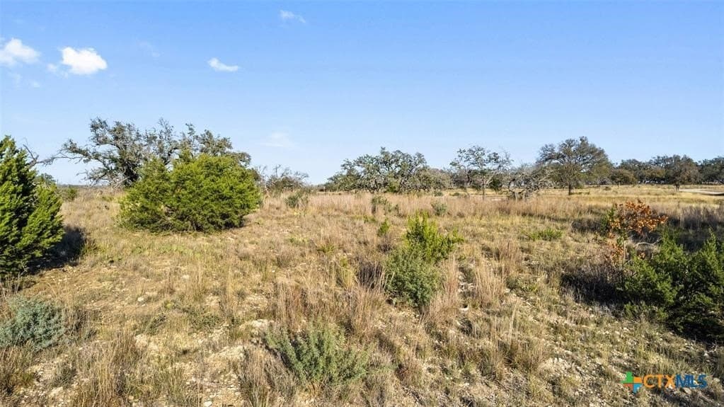 3.01 acres in Gillespie County - photo 3