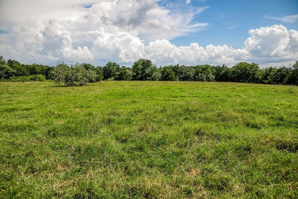 58.44 acres in Fayette County - photo 2