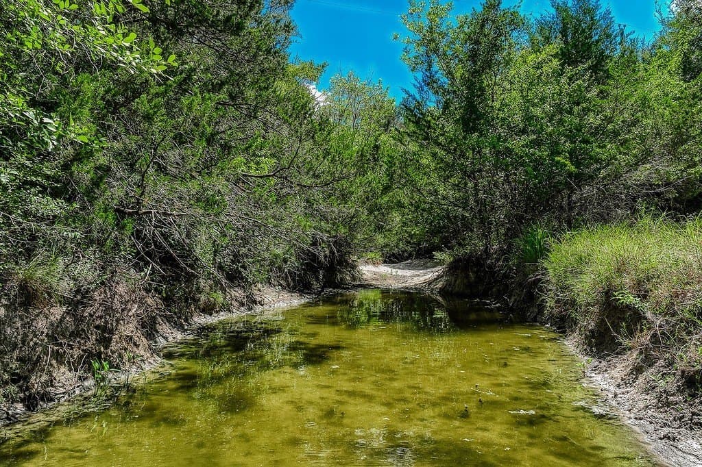 58.44 acres in Fayette County - photo 5