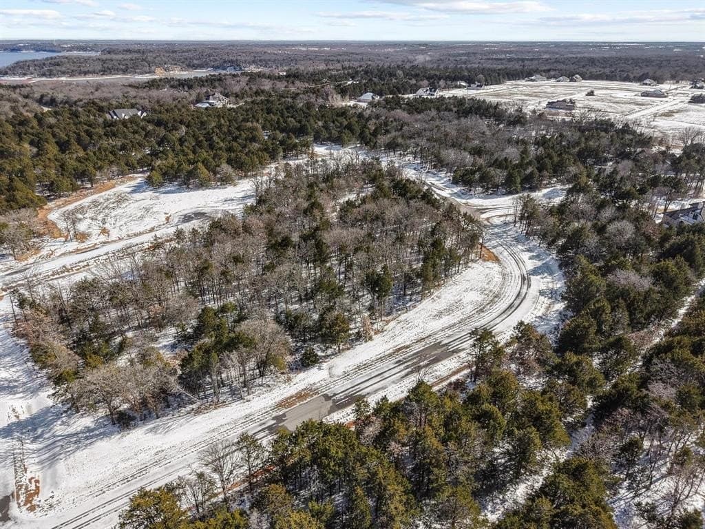 0.35 acres in Grayson County - photo 10