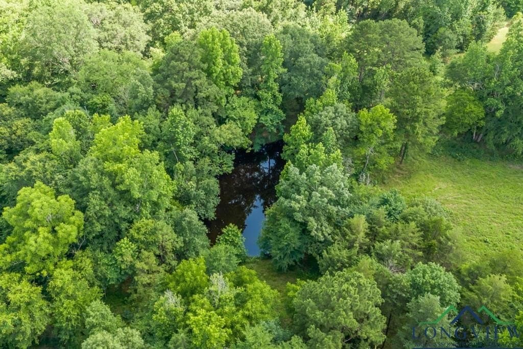 26.61 acres in Harrison County - photo 15