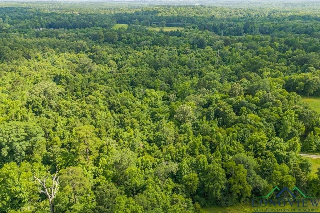 26.61 acres in Harrison County - photo 12