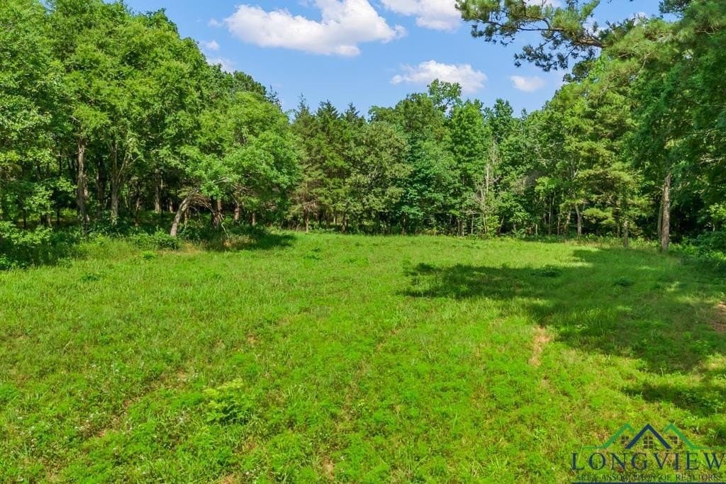 26.61 acres in Harrison County - photo 5