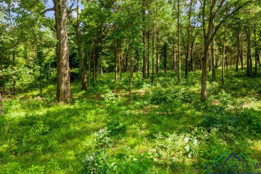 26.61 acres in Harrison County - photo 9