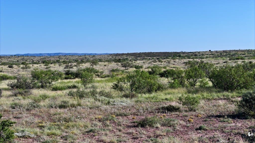 12.44 acres in Brewster County - photo 5