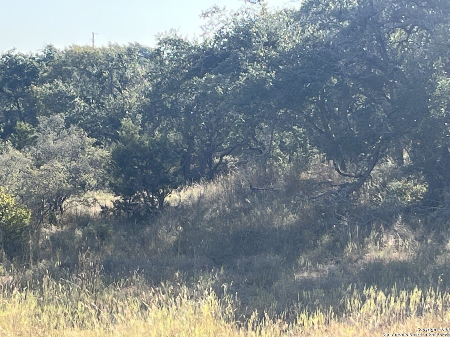 5.92 acres in Blanco County - photo 17