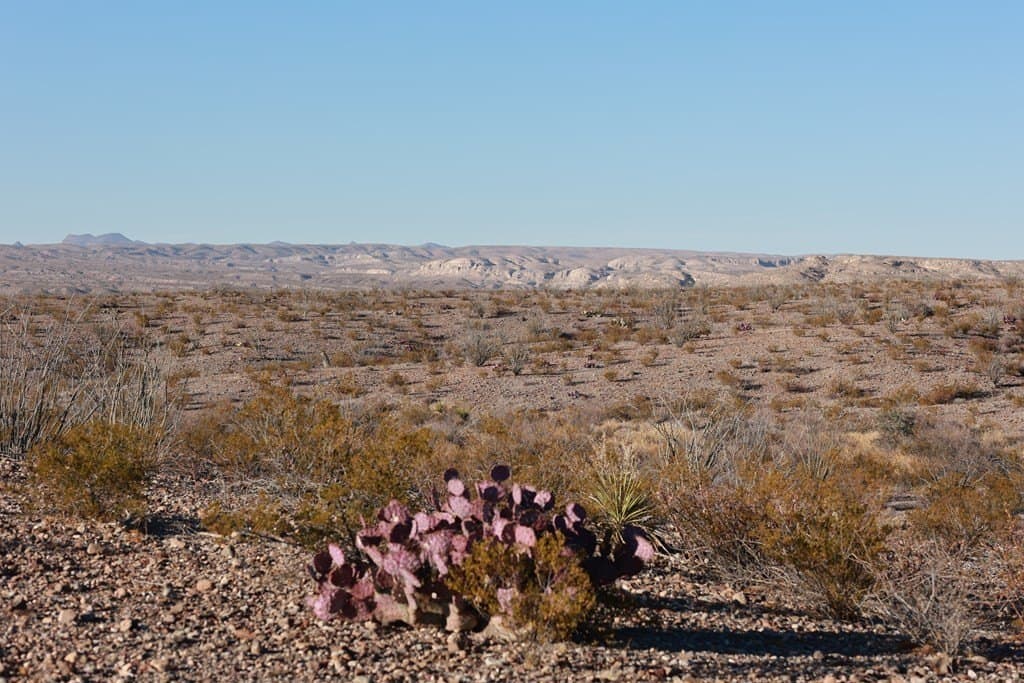 10.19 acres in Presidio County - photo 15