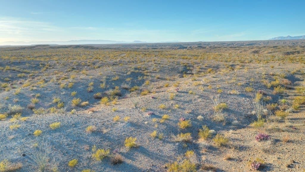 10.19 acres in Presidio County - photo 6