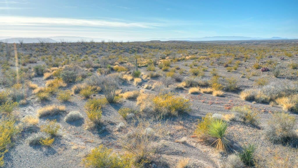 10.19 acres in Presidio County - photo 18
