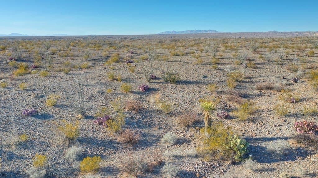 10.19 acres in Presidio County - photo 10