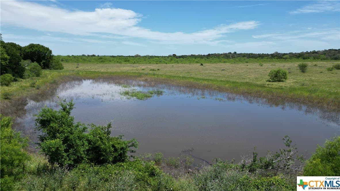 255 acres in Gonzales County - photo 2