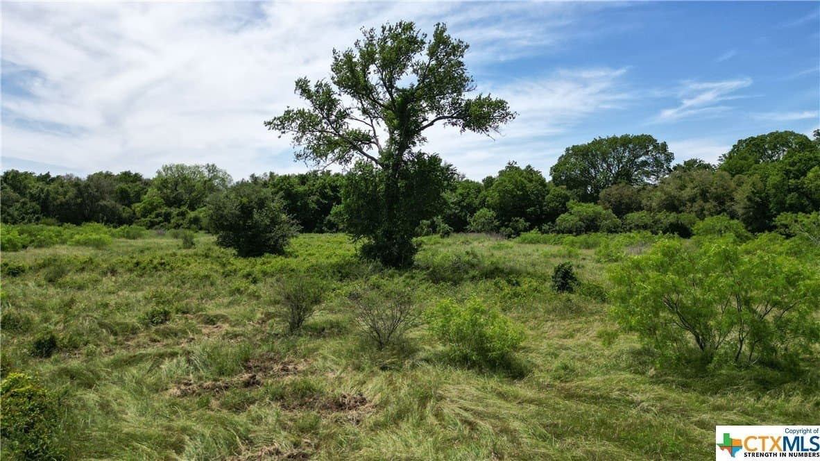 255 acres in Gonzales County - photo 27