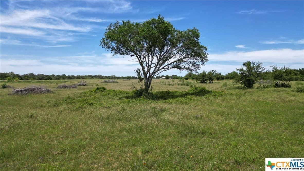 255 acres in Gonzales County - photo 37