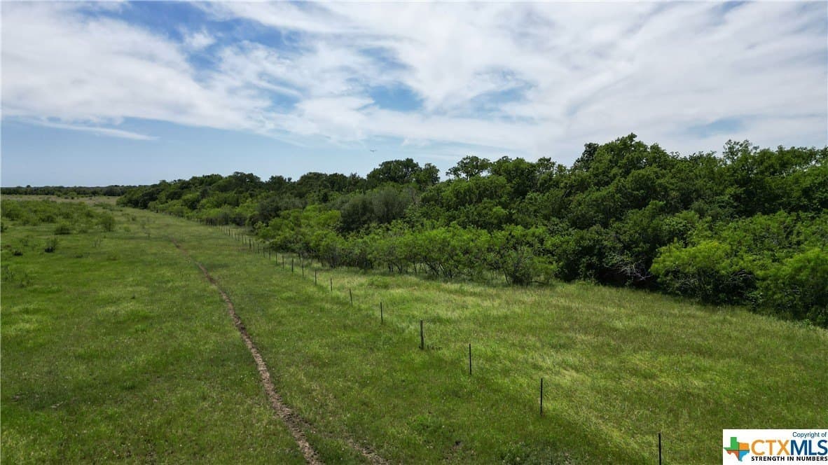 255 acres in Gonzales County - photo 12