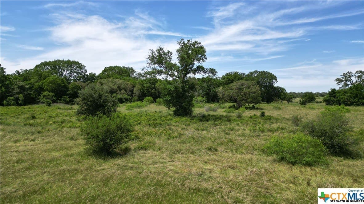 255 acres in Gonzales County - photo 30