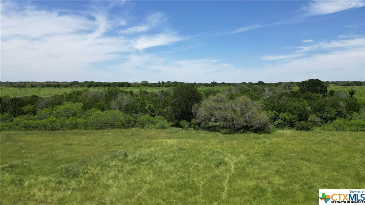 255 acres in Gonzales County - photo 10